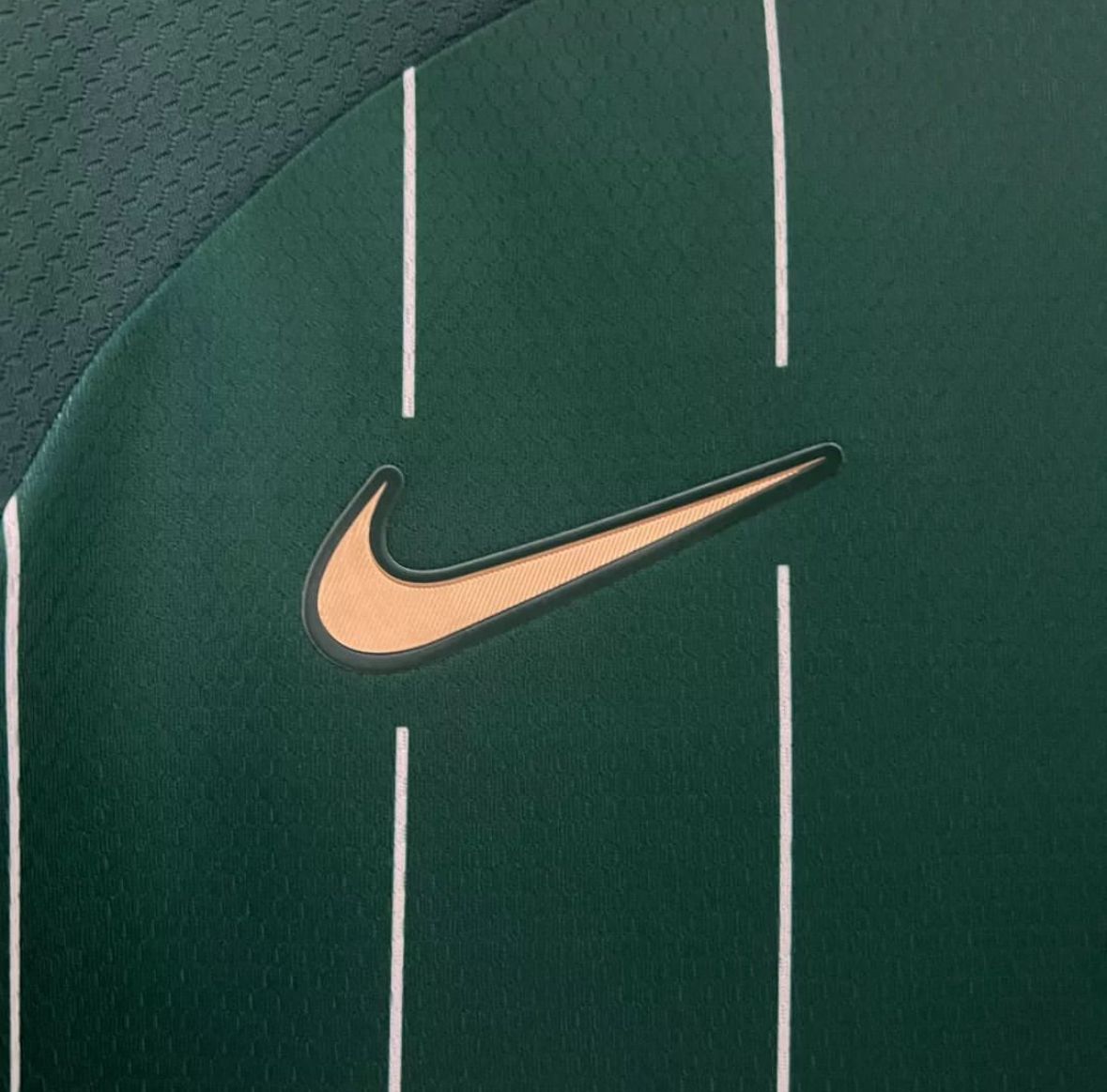 Sporting CP 3ª 2024-25
