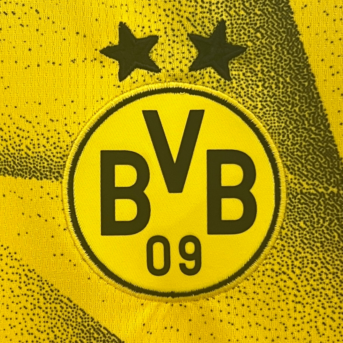 Borussia Dortmund UCL Final 2024