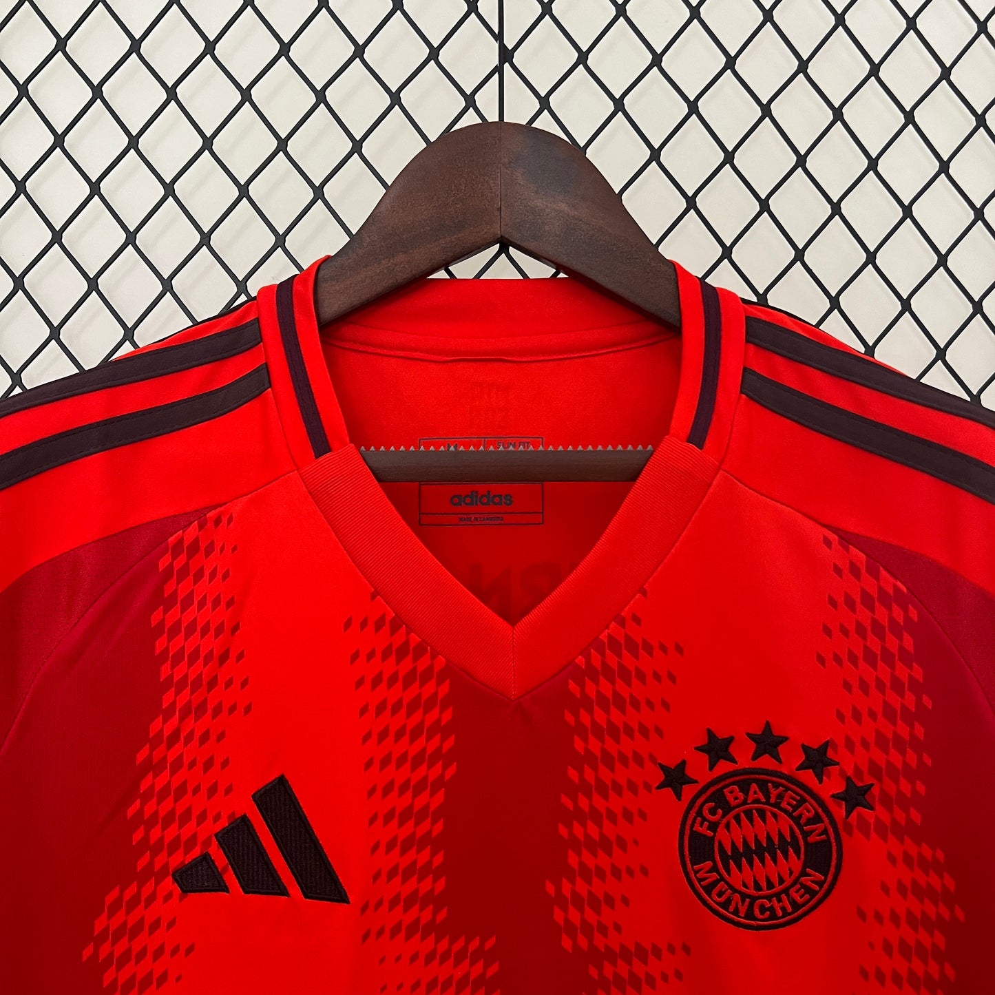 Bayern Munich 2024-25