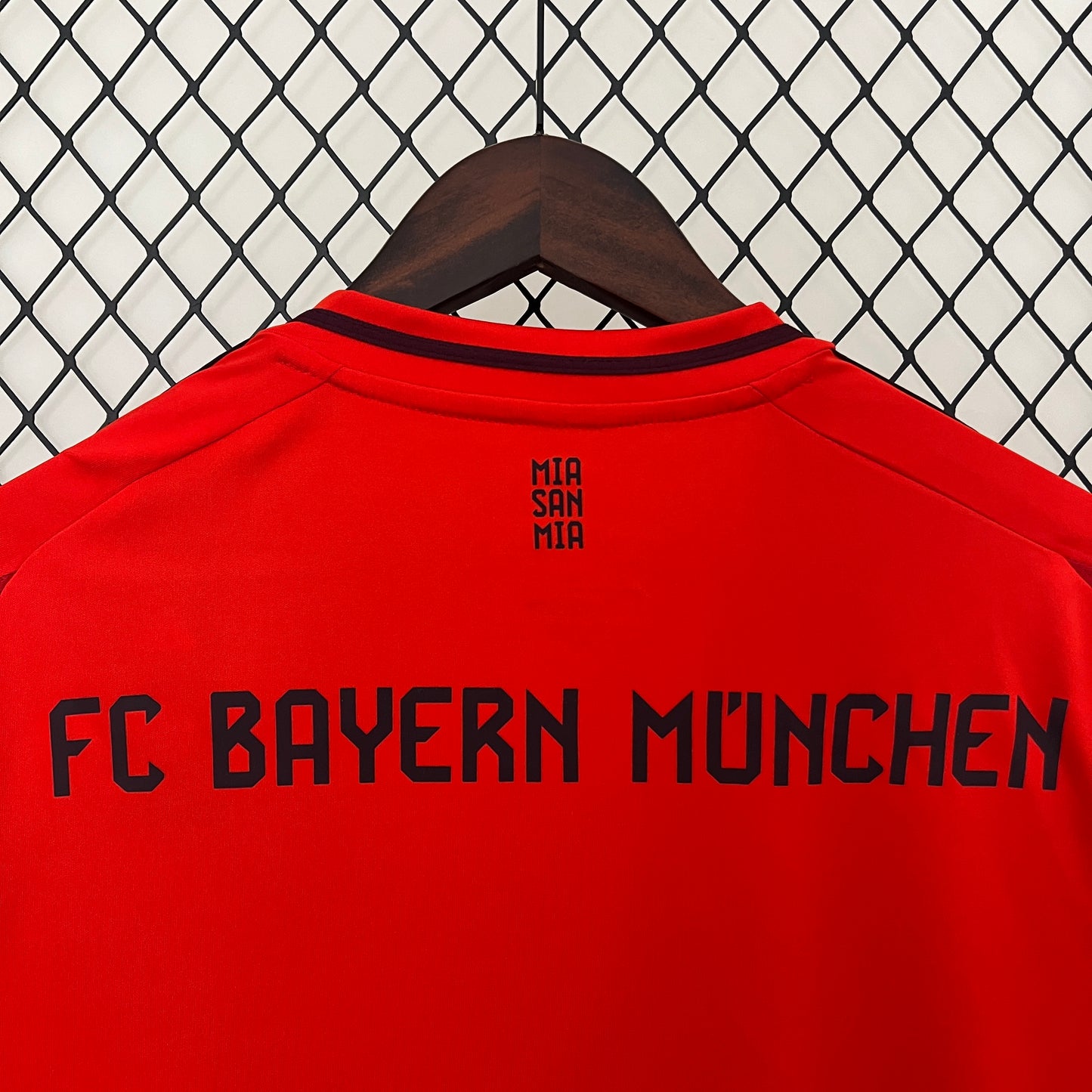 Bayern Munich 2024-25