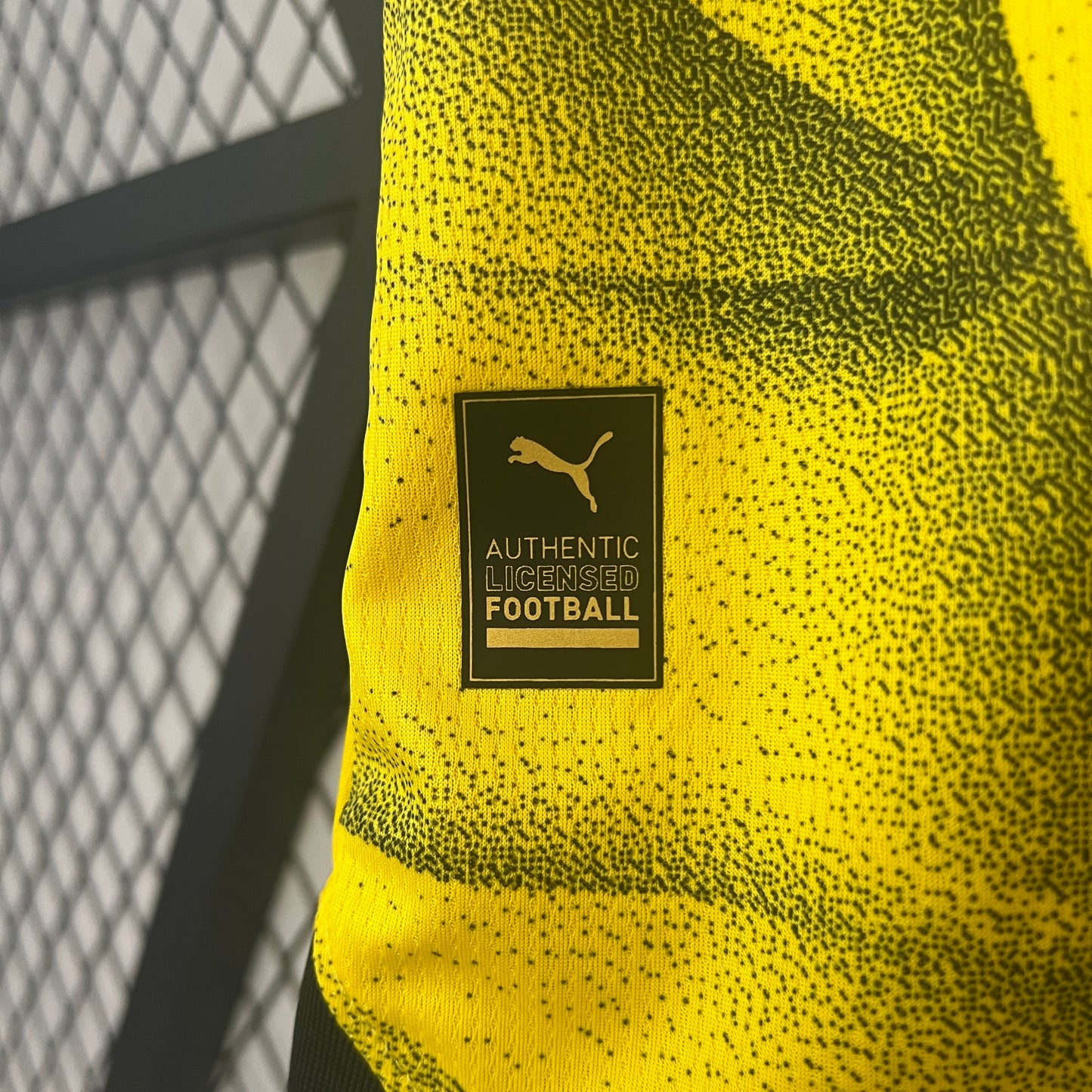 Borussia Dortmund UCL Final 2024