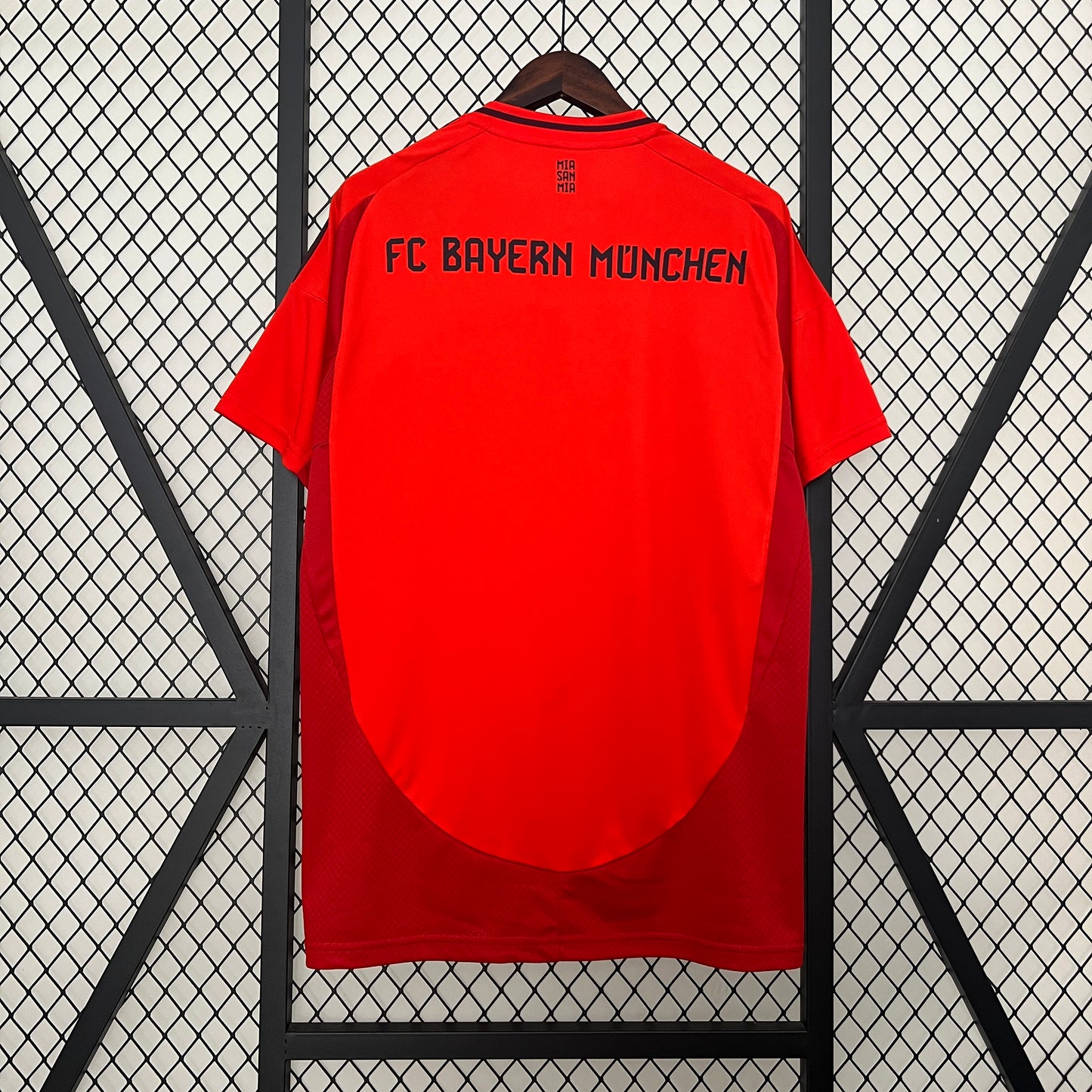 Bayern Munich 2024-25