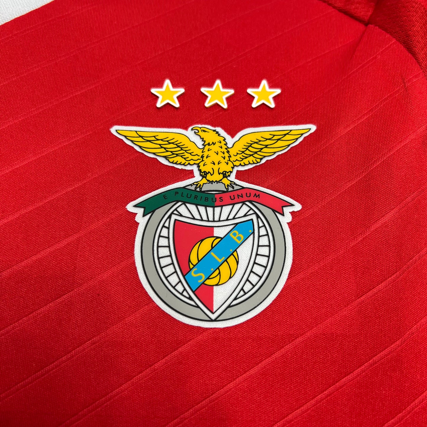 S.L Benfica 2024-25